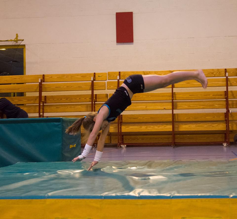 14910579_10210461076704687_8663214162605807502_n