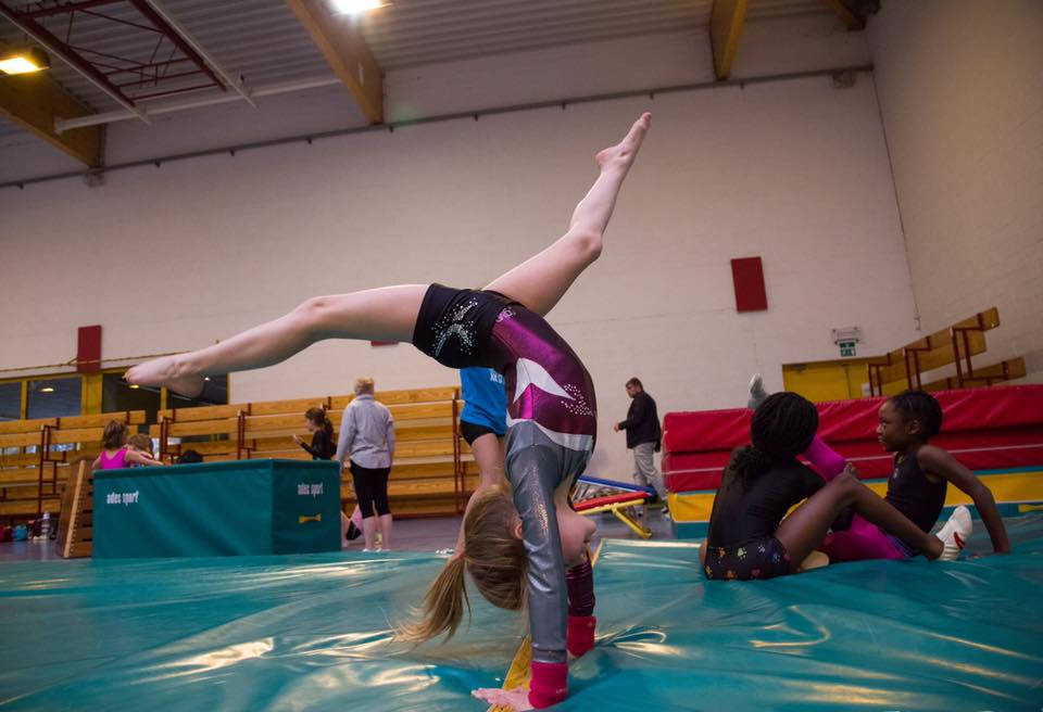 14947683_10210461078824740_5692985457071289730_n