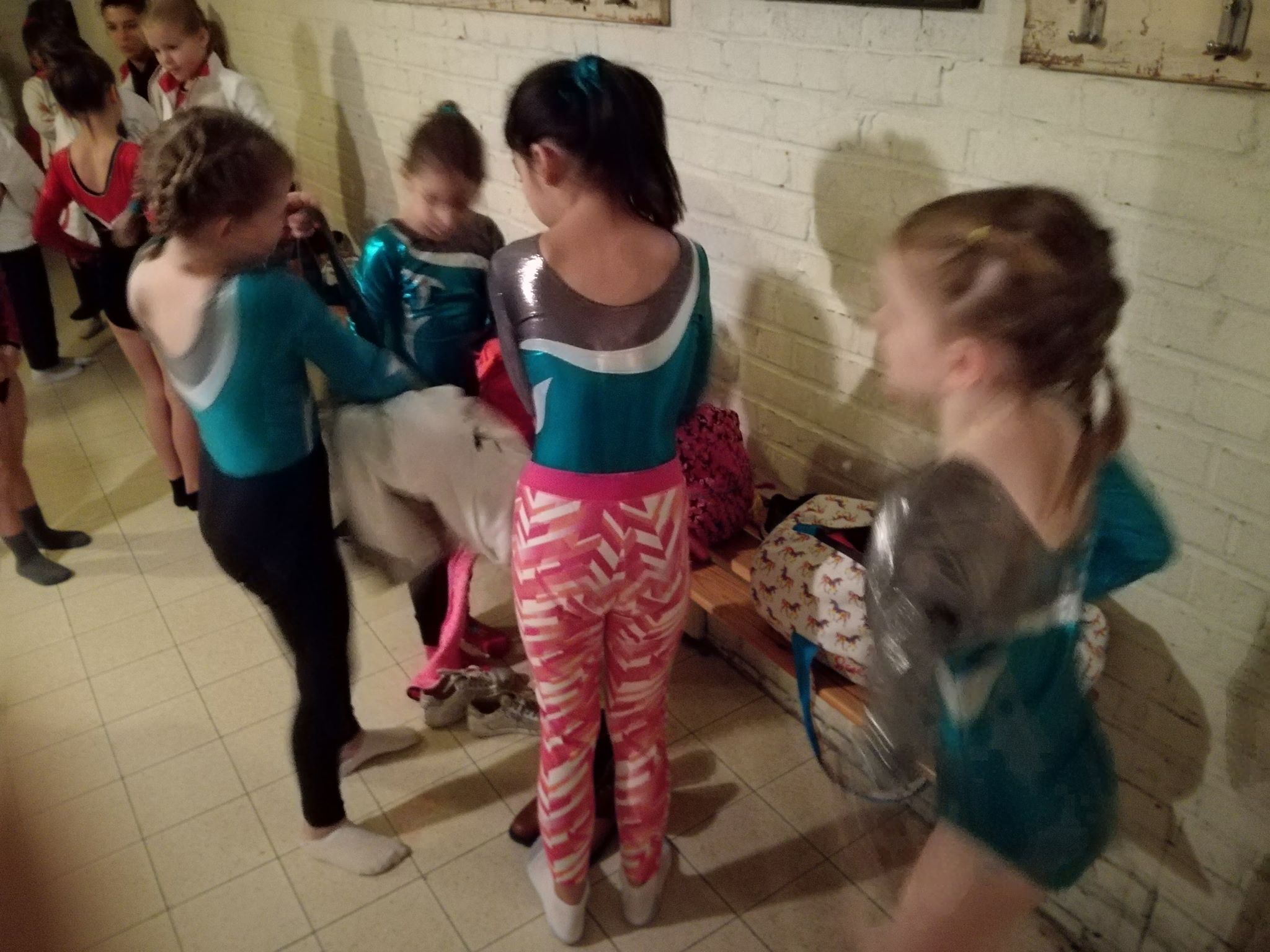 47470953_340502603431955_6939729000629534720_n